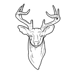 Lineart or contour drawing of a deer head with antlers.
