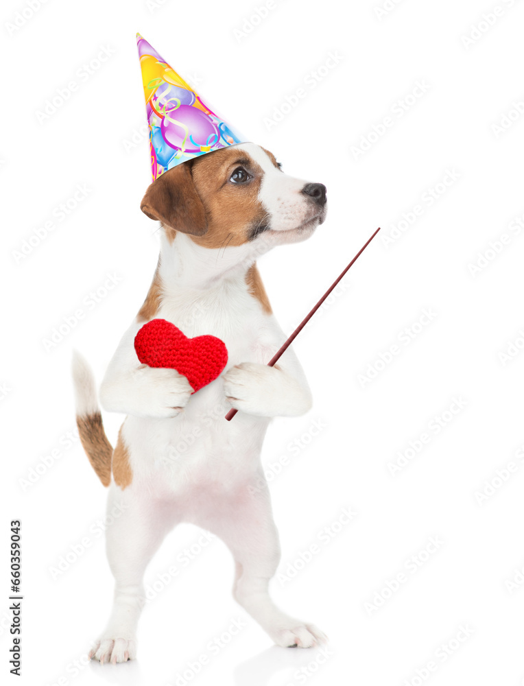 Poster cute jack russell terrier puppy wearing paryt cap holds red heart and points away on empty space. is