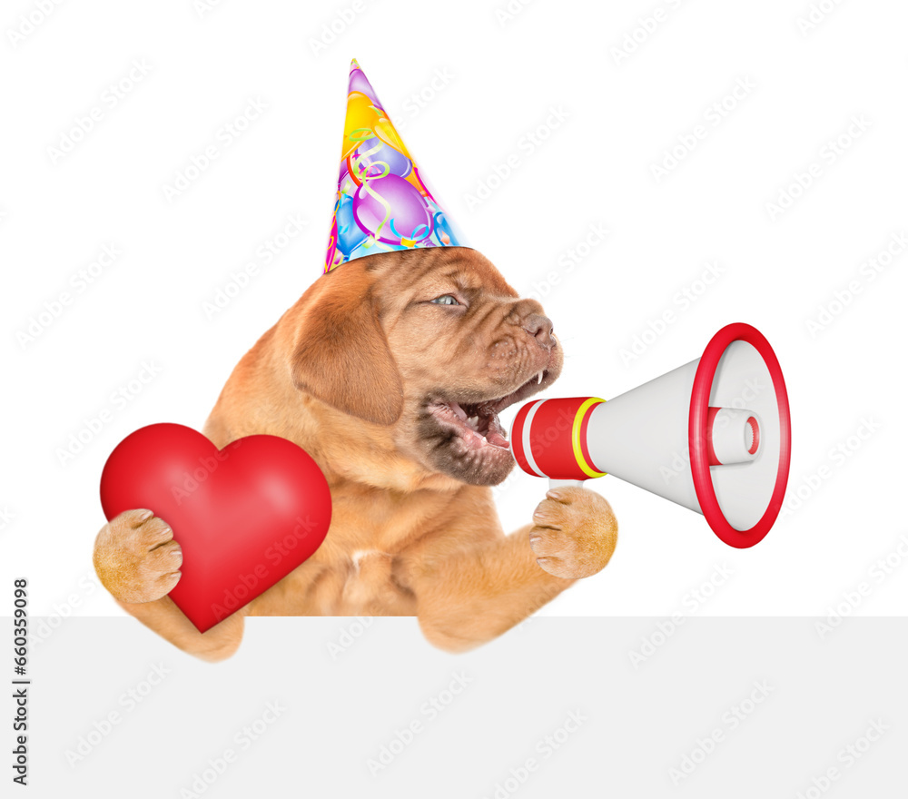 Poster funny mastiff puppy wearing party cap barks into megaphone and shows red heart above empty white ban