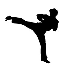 Silhouette of a male model doing martial art kick pose. Silhouette of a martial art kicking pose.