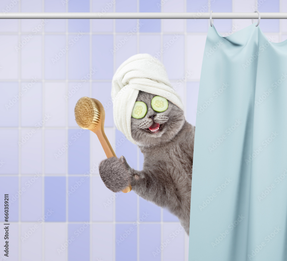 Aufkleber laughing cat with towel on it head, with slices of cucumber on it eyes holding a shower brush taking