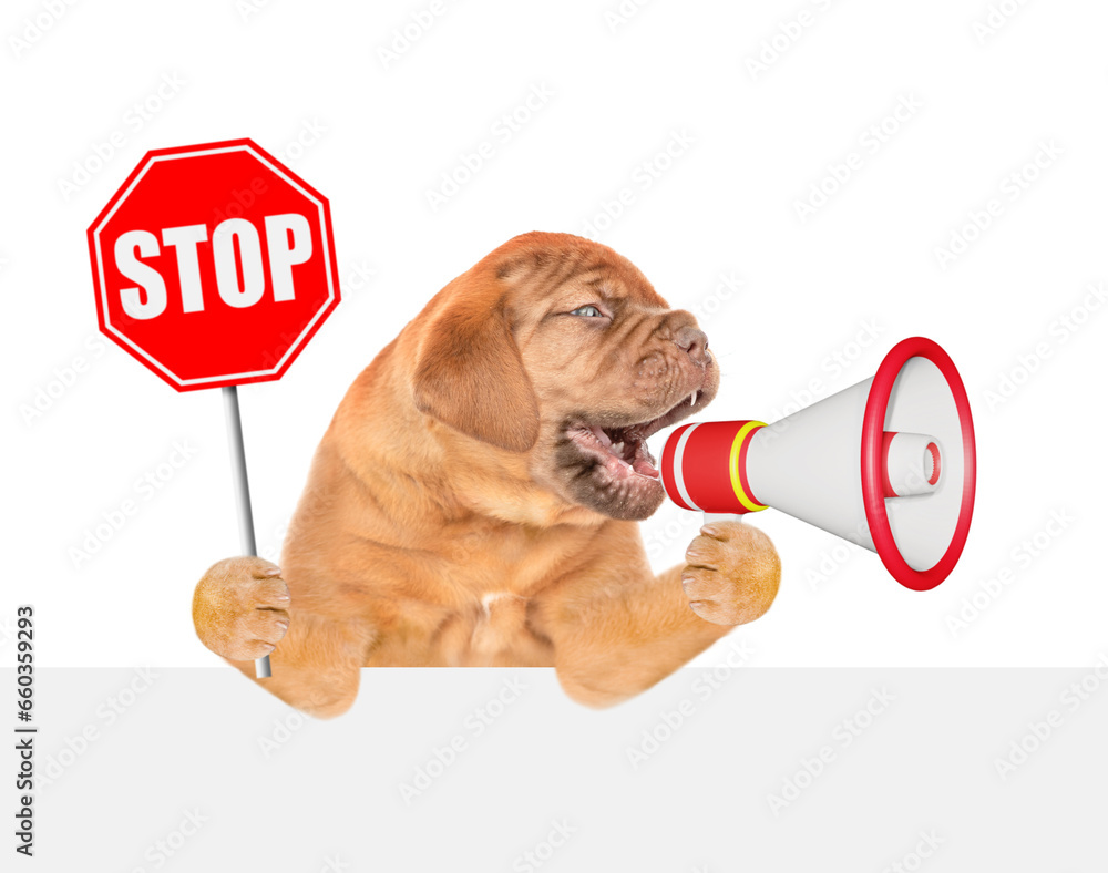 Poster mastiff puppy screaming into a megaphone and shows stop sign above empty white banner. isolated on w
