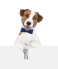 Cute Jack russell terrier puppy wearing tie bow holds in his paw the keys to a new apartment above blank banner. Isolated on white background