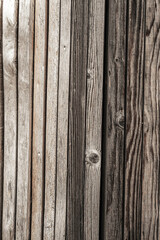 Texture of cut wood