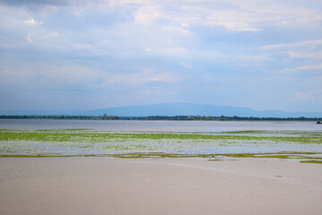 beach in summer