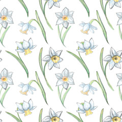Seamless watercolor pattern with the image of narcissus. Background in botanical sketch style. Texture for fabric, packaging, backgrounds, wallpapers.