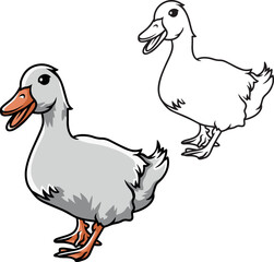 Realistic white duck