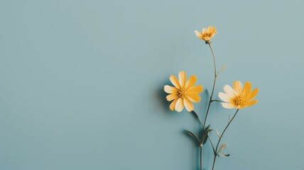 minimalist flower background