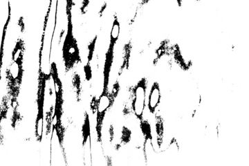 Abstract grunge black and white distressed texture background