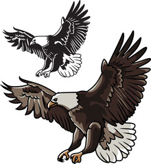 Flying Eagle vector