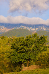 Mountain landscape from the rural areas of the Carpathian mountains in Romania.