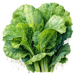 Naklejka premium watercolor Lettuce Teaclipart, Generative Ai