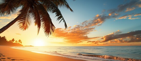 Sunrise over sandy beach with palm trees With copyspace for text - obrazy, fototapety, plakaty