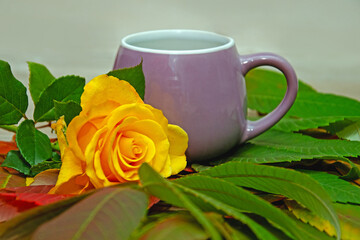 yellow rose and notebook with blank sheet of paper on colorful autumn leaf. Autumn mockup