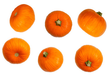 Set of ripe, orange pumpkins isolated on a white background.