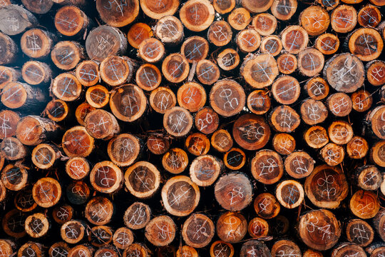 wood