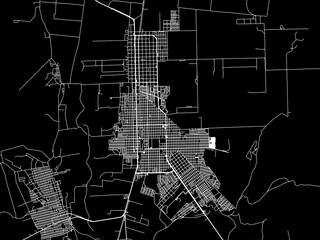 Vector road map of the city of  Nuevo Casas Grandes in Mexico with white roads on a black background.