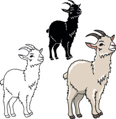 Realistic goat vector