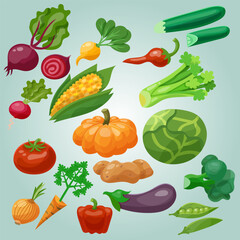 vector vegetables illustration set on background fresh and healthy food