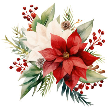 recommend clip art: Watercolor Christmas Poinsettia  isolated clipart