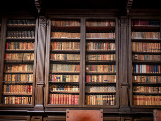 Estanterias de una biblioteca antigua