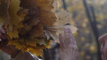 a smiling Caucasian woman 45 -49 years old holds in her hands and admires a bouquet of yellow maple leaves. a woman walks in the autumn forest during leaf fall