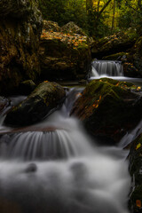 Cascading creek in the autumn forest