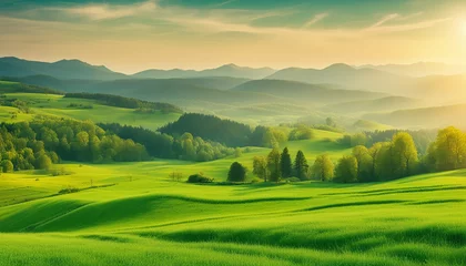 Abwaschbare Fototapete Grün  beautiful countryside of Romania sunny. Green spring field panorama. Summer landscape image of field and mountain. wallpaper
