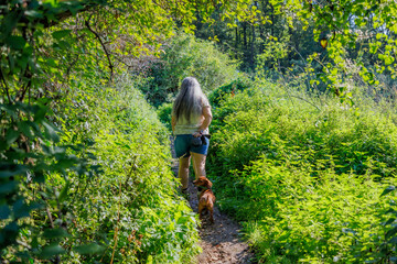 Rear view of a senior female hiker walking on a narrow trail with her dog among abundant wild...