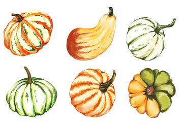 Pumpkin set of pumpkins watercolor isolated hand drawn illustration on transparent background