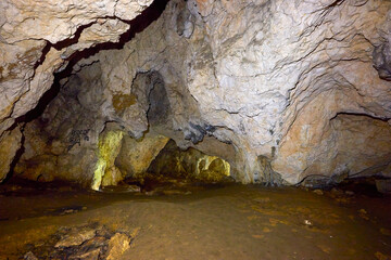 Bat cave in Bran Romania, Carpathian Mountains.