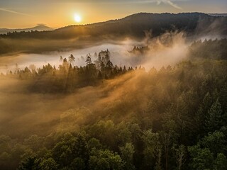 golden morning in Czech Switzerland