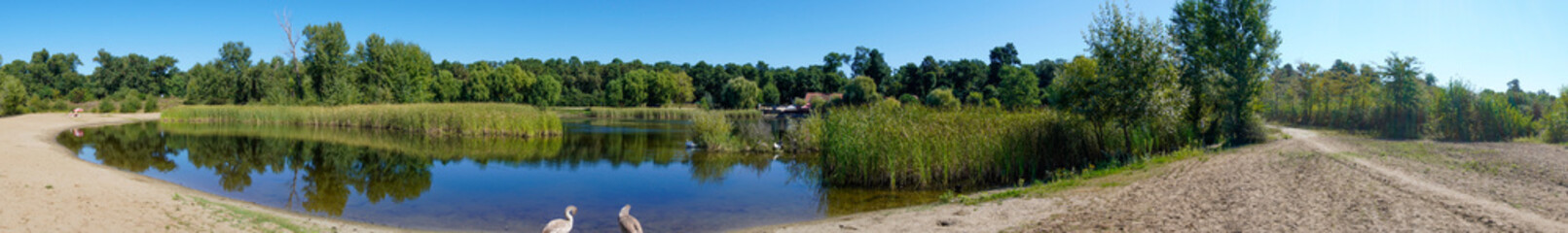Fototapeta na wymiar Beautiful panoramic view of lake with swan