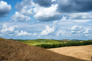 Rural landscape in Val d Orcia, Tuscany, at summer