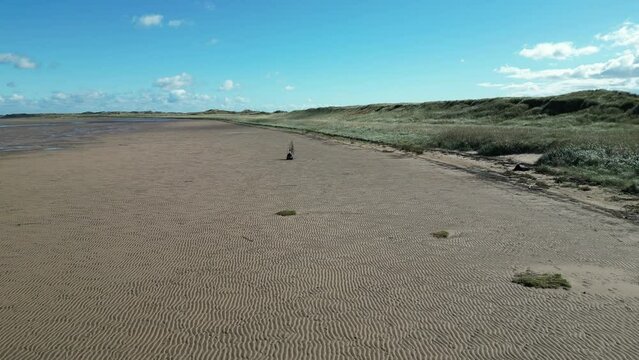 Drone footage over the sandy shore of the Holy Island on a sunny day in Northumberland, UK