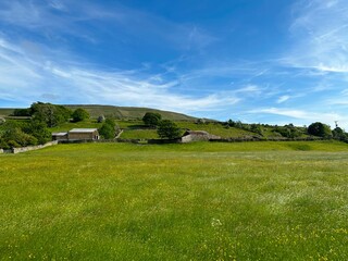 Yorkshire Dales landscape, with fields, wild flowers, farms, and hills near, Shaw Lane, Hawes, UK