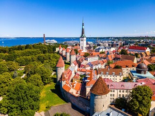 a scenic view of old city buildings and trees in tallinn - obrazy, fototapety, plakaty