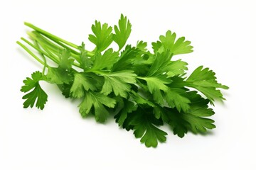 Fresh celery leaves with stalks and white background generative ai