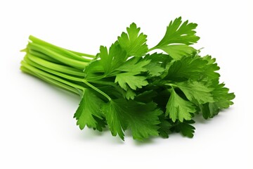 Fresh celery leaves with stalks and white background generative ai