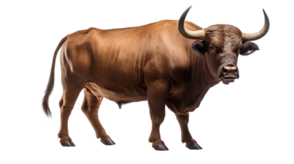 Foto op Canvas Standing Toro on the floor. brown bull. Side view. Isolated on Transparent background. ©  Mohammad Xte