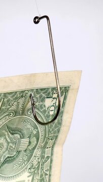 Dollar on a fishing hook isolated on white background vertical video