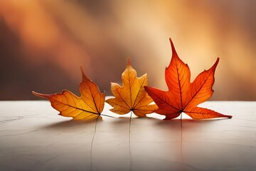 leaves on the wooden background 