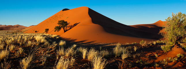 Sand Dune in Sossusvlei in the Namib Desert - Namibia