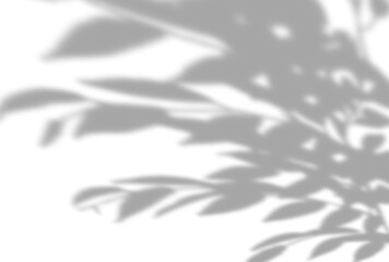 背景イラスト_木漏れ日