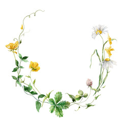 Watercolor floral wreath of meadow flowers, chamomile, grasses and cornflower. Hand painted illustration isolated on white background. For design, print, fabric or background.