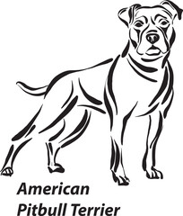 black and white dogs american pitbull terrier breed design line art most popular brush stroke freehand draw vector illustration