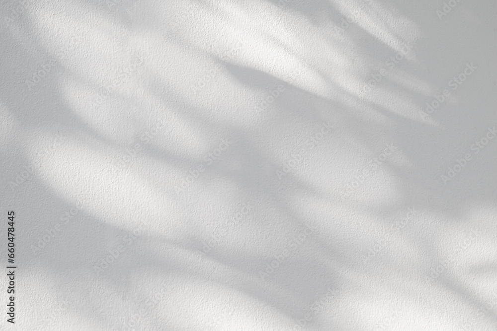 Poster light and shadow of leaf abstract grey background. natural shadows and sunshine diagonal refraction 