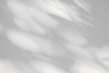 Light and shadow of leaf abstract grey background. Natural shadows and sunshine diagonal refraction...