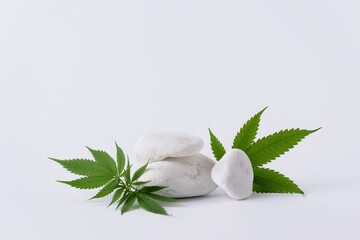 CBD hemp leaf and white decorative stones with empty space for design. Cannabis herbal alternative...
