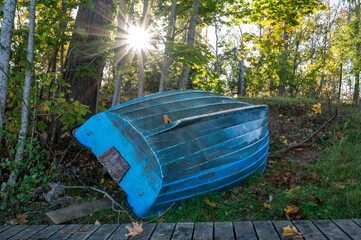 Small blue boat upside down in forest